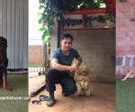Trường huấn luyện chó nghiệp vụ Cảnh Khuyển Nha Trang