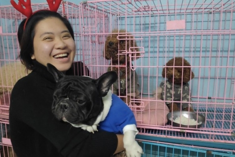 Dịch vụ trông giữ chó cưng tại Gia Lai đáng tin cậy