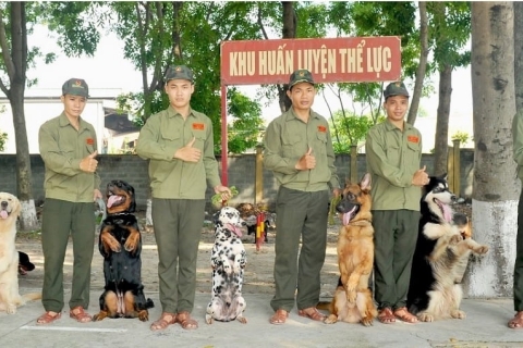 Khám phá địa chỉ hàng đầu cho huấn luyện chó cảnh tại Đà Nẵng