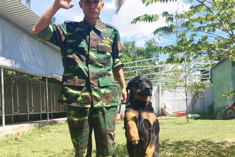 Dịch vụ huấn luyện chó Rottweiler đảm bảo chất lượng