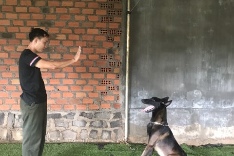 Dịch vụ huấn luyện chó tại Huế: Giúp bạn có một chú chó ngoan ngoãn