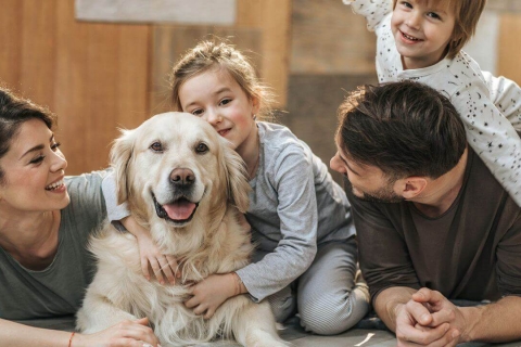 Những lưu ý trước khi nuôi chó là gì?