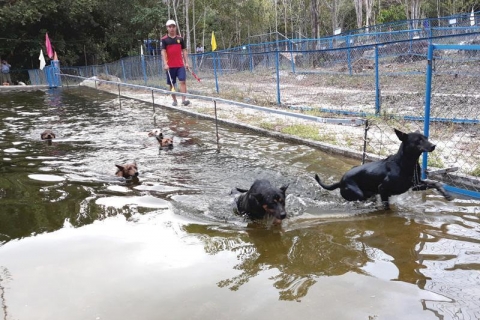 Trại chó ở Nha Trang - Nơi cung cấp dịch vụ chăm sóc chó chuyên nghiệp hàng đầu