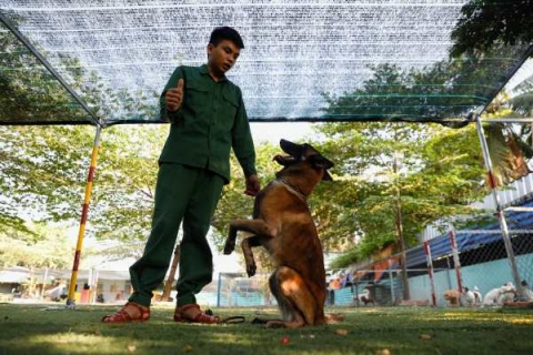 Tìm đến trung tâm huấn luyện chó nghiệp vụ Nha Trang hiệu quả nhất