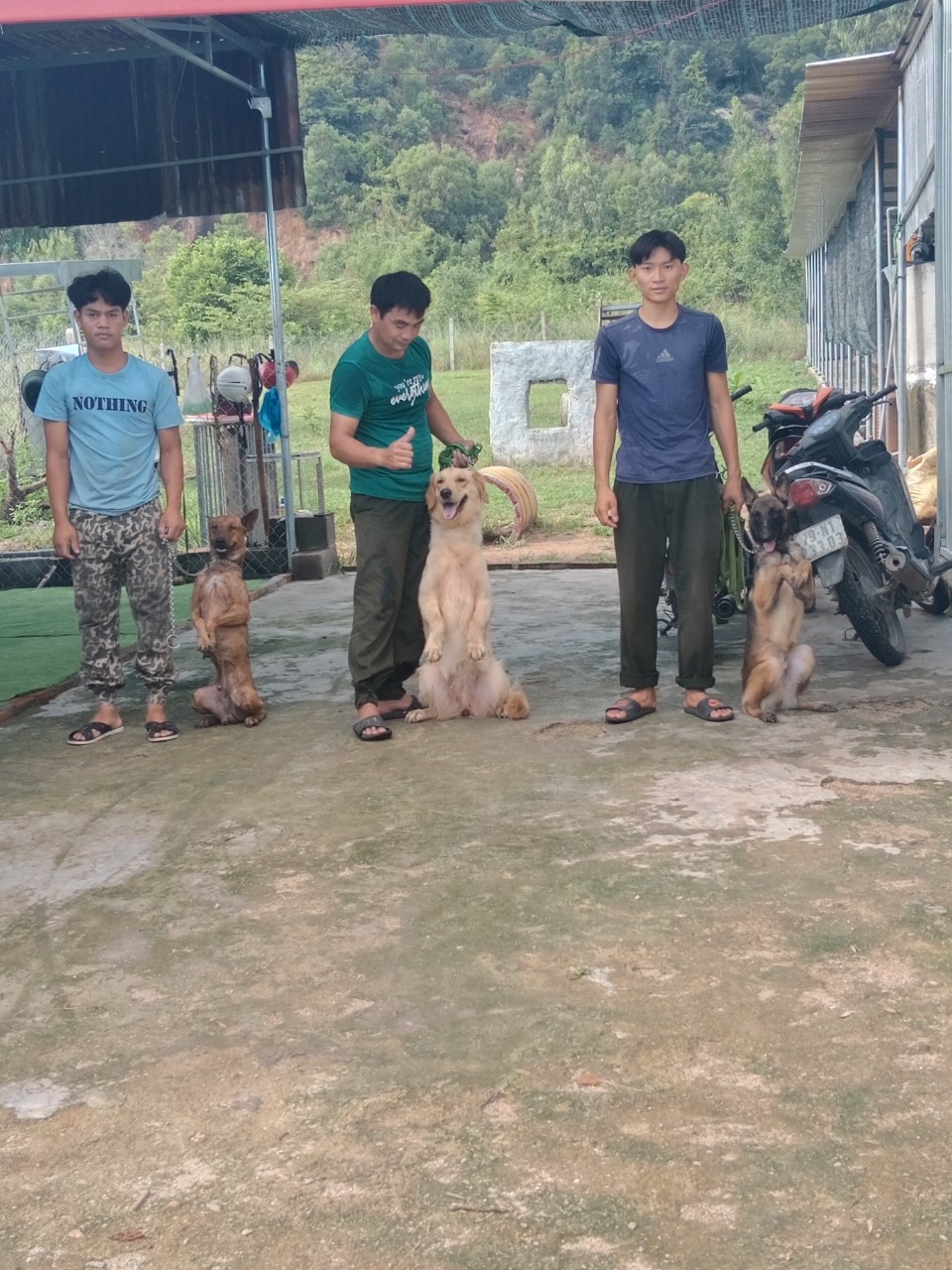 huấn luyện cho cảnh lâm đồng