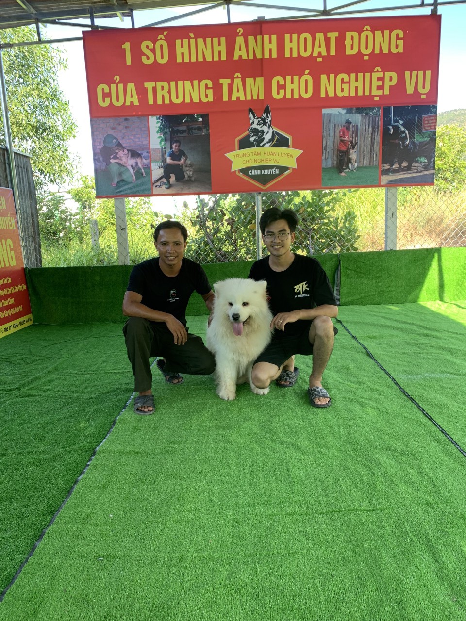 huấn luyện chó tại đắk nông