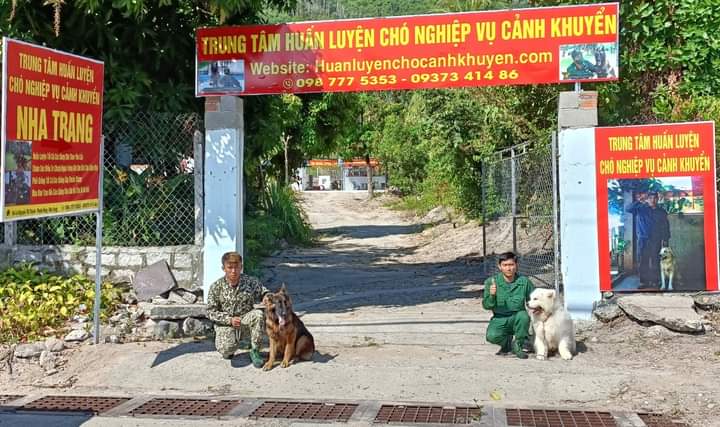 trung tâm dạy chó ninh thuận