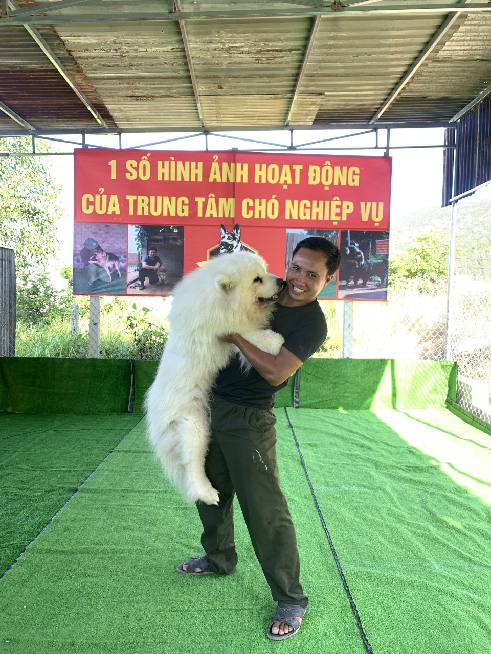 trung tâm huấn luyện chó kontum