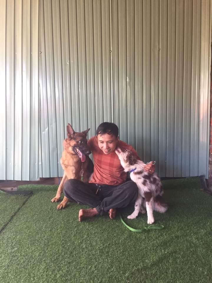 trường huấn luyện chó