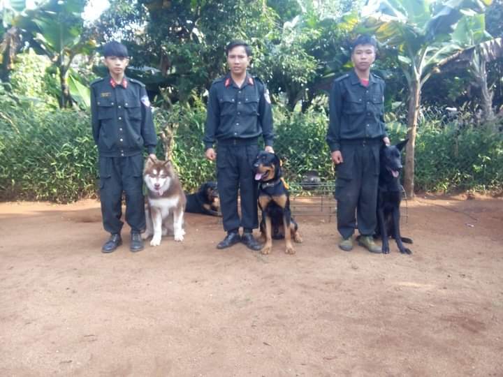 trường huấn luyện chó