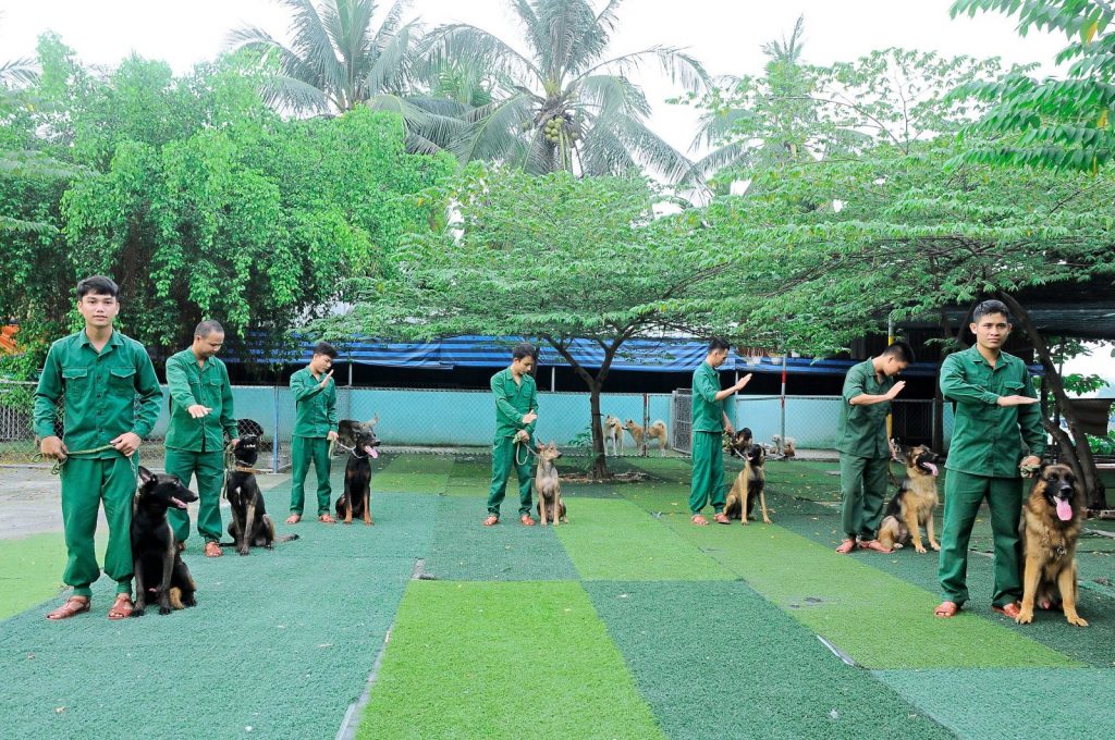 trung tâm huấn luyện chó tphcm