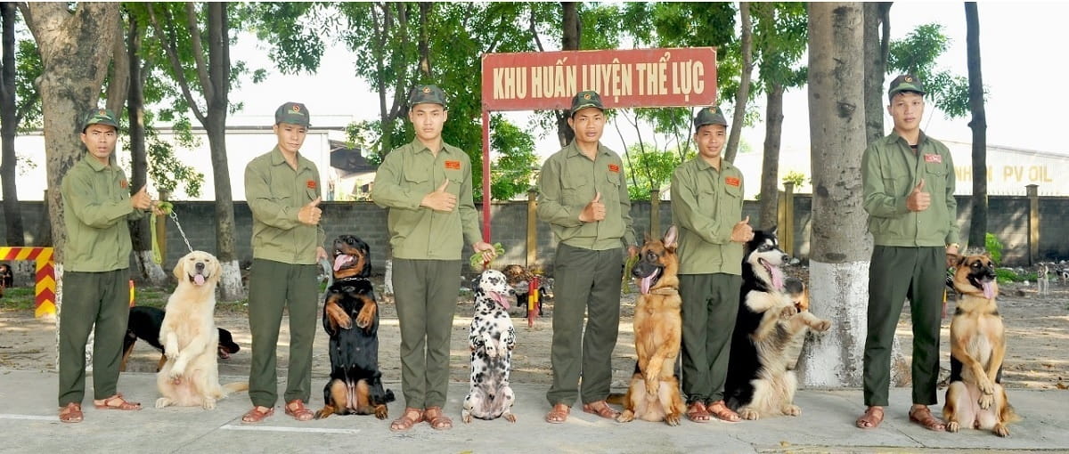 Trung tâm huấn luyện chó Bình Định