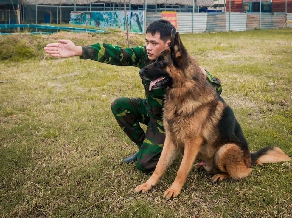 trường huấn luyện chó nghiệp vụ Đà Lạt