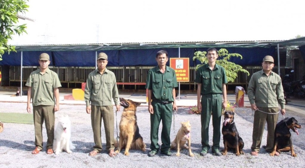 dịch vụ huấn luyện chó đắk lắk