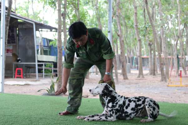 đơn vị huấn luyện chó uy tín tại Gia Lai