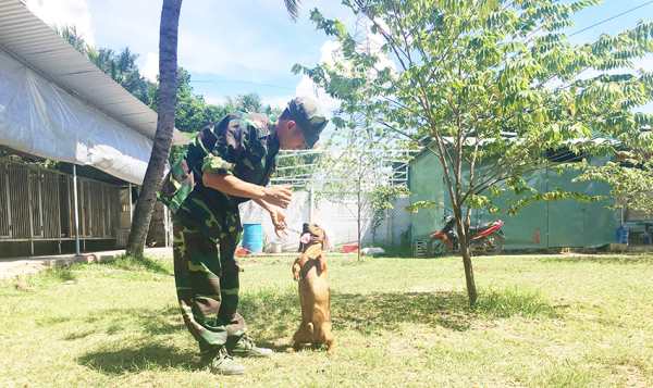 Trung tâm huấn luyện chó nghiệp vụ Nha Trang