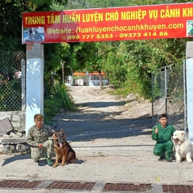 huanluyencho