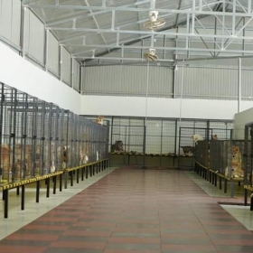 huanluyencho