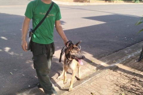 Huấn Luyện Chó Nghiệp Vụ Tại Trung Tâm Quân Cảnh Nha Trang