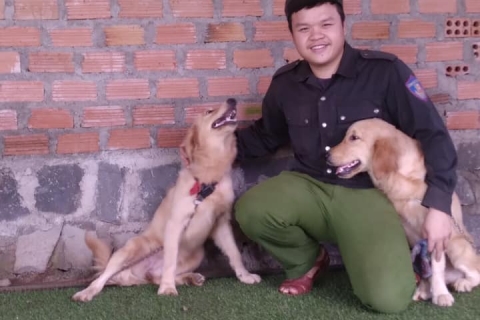 Dịch Vụ Trọn Gói: Huấn Luyện – Phối Giống – Trông Giữ Chó Uy Tín Tại Gia Lai & Khánh Hòa