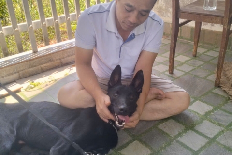 Địa chỉ huấn luyện chó giữ nhà uy tín