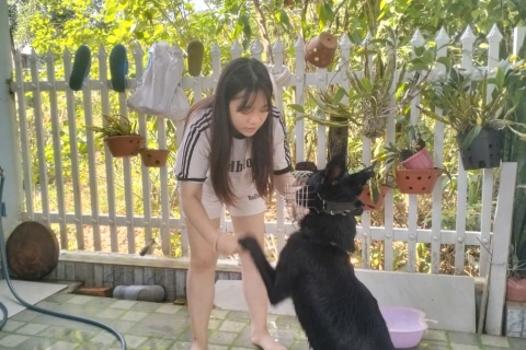 Trung tâm huấn luyện chó Đà Nẵng: Chuyên gia đào tạo chó hàng đầu