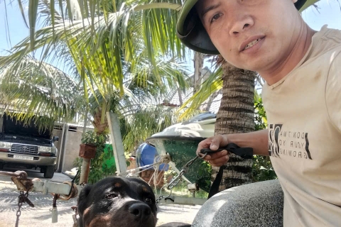 Huấn luyện chó nghe lời và kiểm soát hành vi đúng cách