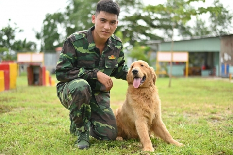Chia Sẻ Quy Trình Huấn Luyện Chó Chuyên Nghiệp Theo Tiêu Chuẩn Quốc Tế
