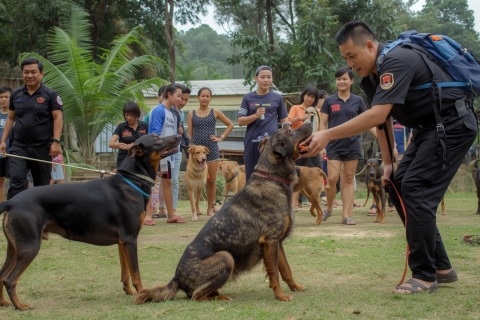 Bí quyết huấn luyện chó nghe lời nhanh chóng và hiệu quả tại Việt Nam
