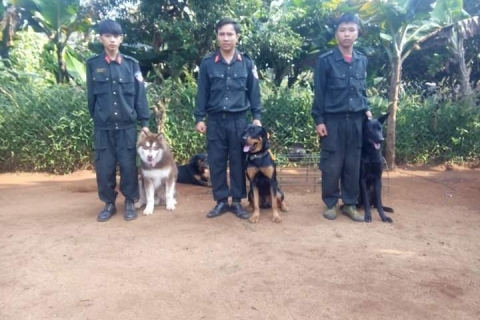 Trường huấn luyện chó Quy Nhơn - Địa chỉ, chi phí và cách đăng ký