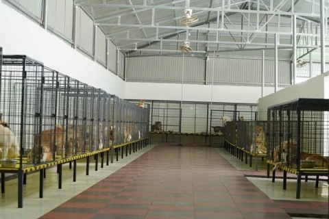 Trung tâm huấn luyện chó uy tín tại Khánh Hòa