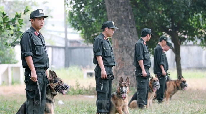 trung tâm huấn luyện chó gần đây