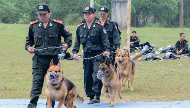 trung tâm huấn luyện chó uy tín