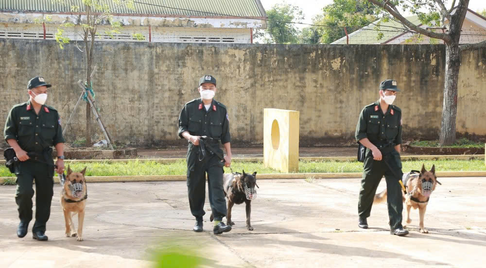 Huấn luyện chó bảo vệ chủ